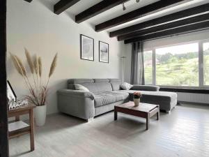 ein Wohnzimmer mit einem Sofa und einem Tisch in der Unterkunft **Schwarzwald-Haus mit Sauna** in Elzach