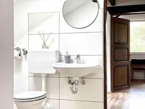 ein Badezimmer mit einem Waschbecken, einem WC und einem Spiegel in der Unterkunft **Schwarzwald-Haus mit Sauna** in Elzach