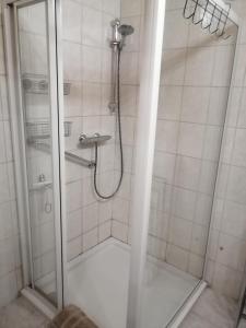 a shower with a glass door in a bathroom at Ferienwohnung Göriacher Stern in Pusarnitz