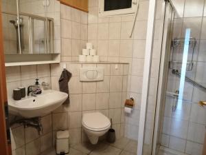 a bathroom with a toilet and a sink and a shower at Ferienwohnung Göriacher Stern in Pusarnitz