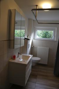 a bathroom with a sink and a toilet and a mirror at Ferienhaus Kappeln in Rabenkirchen-Faulück