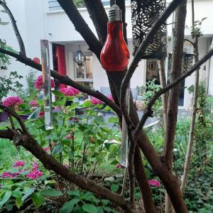 una botella roja colgando de un árbol en un jardín en Appartement cosy avec jardin et parking, en Gennevilliers