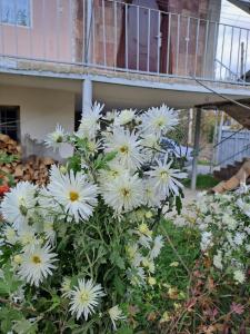 Afbeelding uit fotogalerij van Tamara B&B in Tumanyan +22 foto's