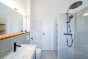 La salle de bains est pourvue d'une douche et d'un lavabo. dans l'établissement Apartment Blausand, à Ahrenshoop