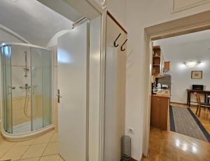 Ένα μπάνιο στο Spacious central studio Nika 2 Tour As Ljubljana +9 φωτογραφίες