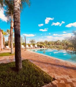 a swimming pool with palm trees in a resort at Villa Malika Marrakech in Marrakesh