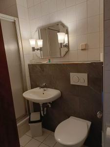 a bathroom with a sink and a toilet and a mirror at Hotel Zum Goldenen Löwen in Merseburg