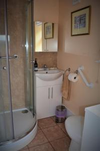 a bathroom with a shower and a sink and a toilet at The Side - Hexham in Hexham