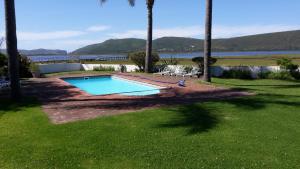 a swimming pool in a yard with palm trees at Point Lodge Knysna in Knysna