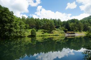 茅野的住宿－立科町東急酒店，享有树木和云层的湖泊美景