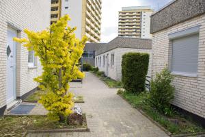 ein gelber Baum auf einem Bürgersteig neben Gebäuden in der Unterkunft Terrassenhaus 627 in Braunlage