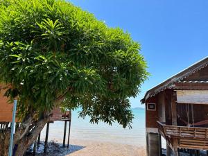a tree on the beach next to a house at Lamsai AC Sea House in Ko Yao Noi