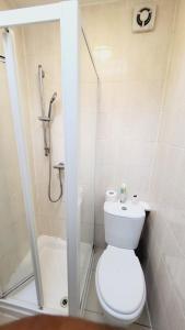 a bathroom with a shower and a toilet and a shower at North London Property in London