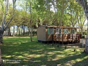 a tiny house in the middle of a park at Bolsena Holiday House in Bolsena