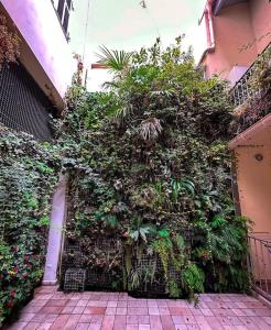 AngeVert HolidayHouse