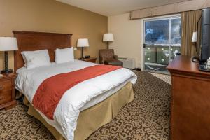 a hotel room with a bed and a television at Best Western Tyrolean Lodge in Ketchum
