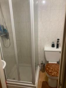 a bathroom with a shower and a toilet at Inviting 1-Bed Studio in London in London