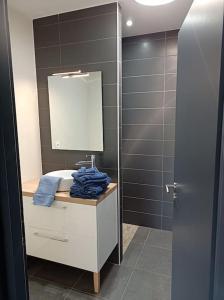 a bathroom with a sink and a mirror at GITE LA POISSONNIERE in Sevremont