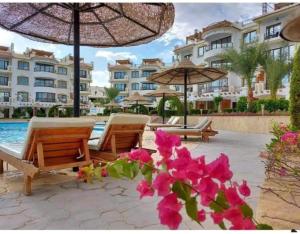 a resort with a pool and chairs and umbrellas and flowers at Sharm Hills Hotel in Sharm El Sheikh