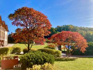 A garden outside K-Triumf Resort