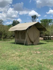 une grande tente au milieu d'un champ dans l'établissement Resian Mara Camp, à Talek