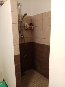a shower in a bathroom with brown tiles at La Kaz'ida in Cilaos