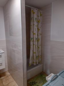a shower in a bathroom with a shower curtain at Alpaka-Ranczo AFF in Puławy