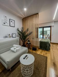 ein Wohnzimmer mit einem Sofa und einem Bett in der Unterkunft Las Terrazas de Vigo in Vigo