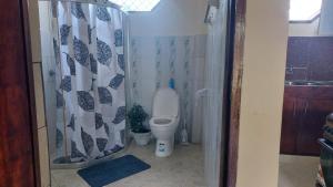 a bathroom with a toilet with a shower curtain at BlackOmena 