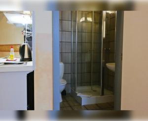 a bathroom with a shower and a toilet at Room in Apartment - Condo Gardens Leuven - Student Flat Semiduplex in Leuven