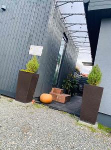 Fotografie z fotogalerie ubytování MMA apartament v destinaci Klaipėda