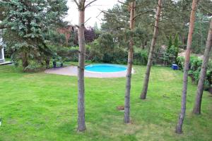 a swimming pool in a yard with trees at Ferienwohnung Pruchten VORP 1163 in Pruchten