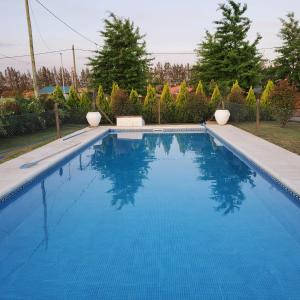 聖佩德羅的住宿－La Escapada San Pedro，庭院里的一个蓝色海水游泳池