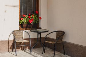 a table and two chairs and a window with a pot of flowers at Cazare Zorilor in Zărneşti