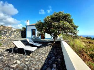 two chairs and a tree in front of a house at Callejones in Mazo