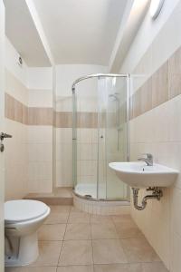 a bathroom with a shower and a toilet and a sink at Apartmány Kladno - Libušín in Kladno