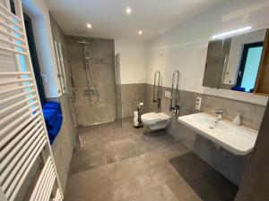 ein Bad mit einer Dusche, einem WC und einem Waschbecken in der Unterkunft Rollstuhlgerechtes Ferienapartment A1 Villa Wilisch 65qm in Amtsberg