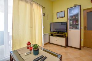 TV a/nebo společenská místnost v ubytování Apartments Jasna