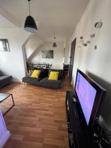 a living room with a couch and a flat screen tv at Mury 12 in Strasbourg