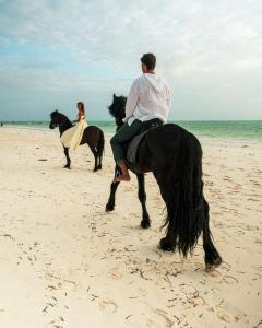 Dos personas están montando caballos en la playa en Kinazi Upepo Beach Eco Lodge en Paje