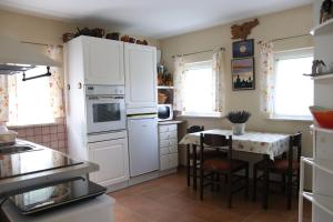 Kuhinja oz. manjša kuhinja v nastanitvi Vila Tamaškut