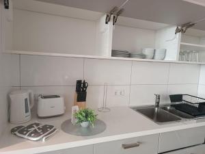 a white kitchen with a sink and a counter at L8 Street - Gneisenaustraße 9 in Pforzheim