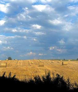 a field full of hay bales on a cloudy sky at Jak Tu Ładnie - Osada i Siedlisko in Mikołajki