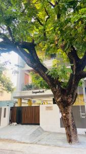 a large tree in front of a building at Swayamkrushi 4th floor in Hyderabad