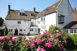 a row of white houses with pink flowers at The Old House in Nether Stowey