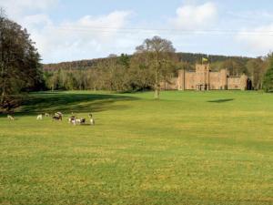 un grupo de animales pastando en un campo con un castillo en Gate Lodge en Fettercairn