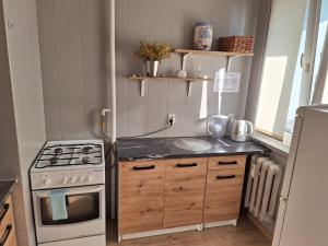 uma pequena cozinha com um fogão e um lavatório em krynicka em Breslávia