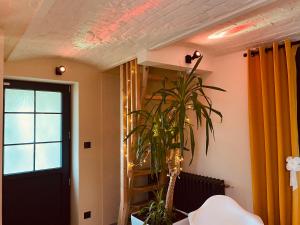 una planta en una habitación al lado de una puerta en La Villa des Roses - Suite & Spa, en Lys-lès-Lannoy