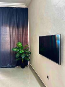 TV de pantalla plana colgada en una pared con una planta en Spacious Private Room & Balcony In Cotonou, en Cotonou