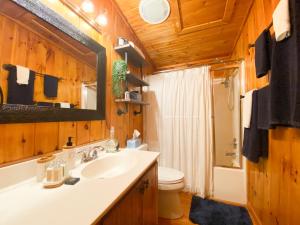 La salle de bains est pourvue d'un lavabo, de toilettes et d'un miroir. dans l'établissement Copper Kettle Cabin A peaceful cabin, pet friendly near Hendersonville, à Hendersonville